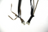 products/IMG_3847.png